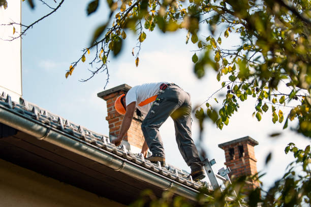 Best Metal Roofing Contractor  in Pittston, PA