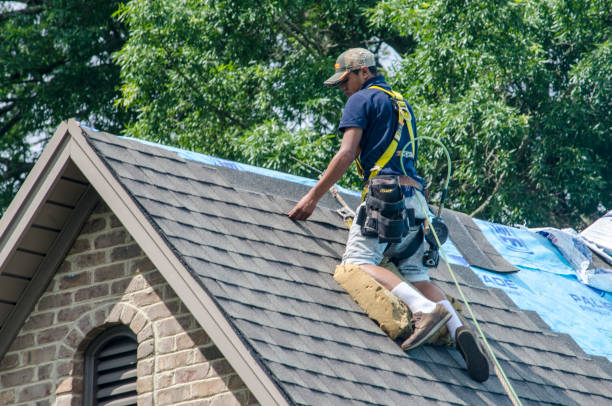 Professional Roofing Contractor in Pittston, PA